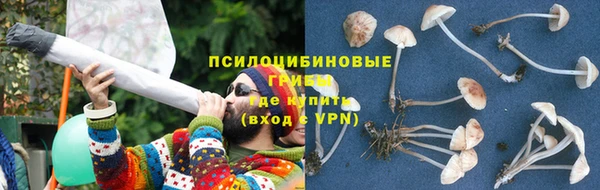 крисы Абдулино