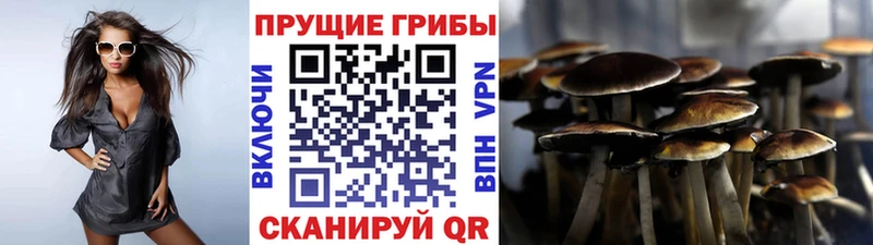 Галлюциногенные грибы Cubensis закладка Майский