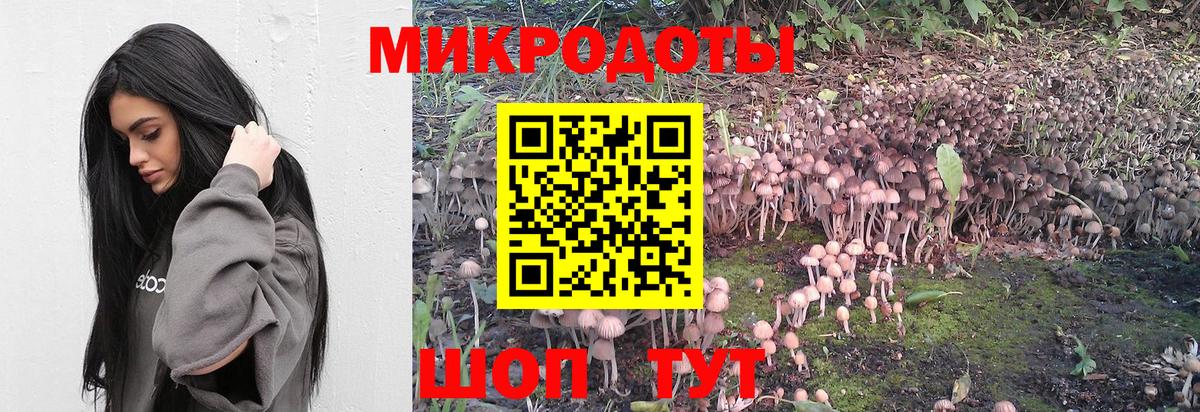 Псилоцибиновые грибы GOLDEN TEACHER Майский